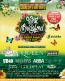 wb fest