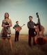 hot club cowtown