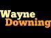 wayne downing